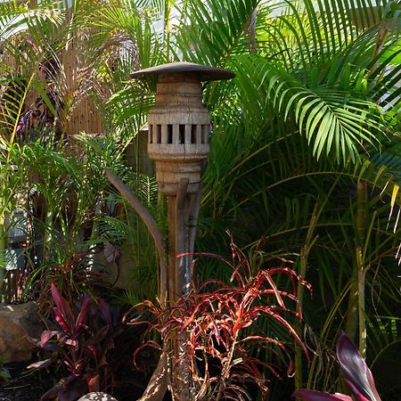 Bamboo Suite, 1 Bedroom, Sleeps 4, Pool & Bbq, Pre-Renovation Summer Sale Kīhei Exterior foto