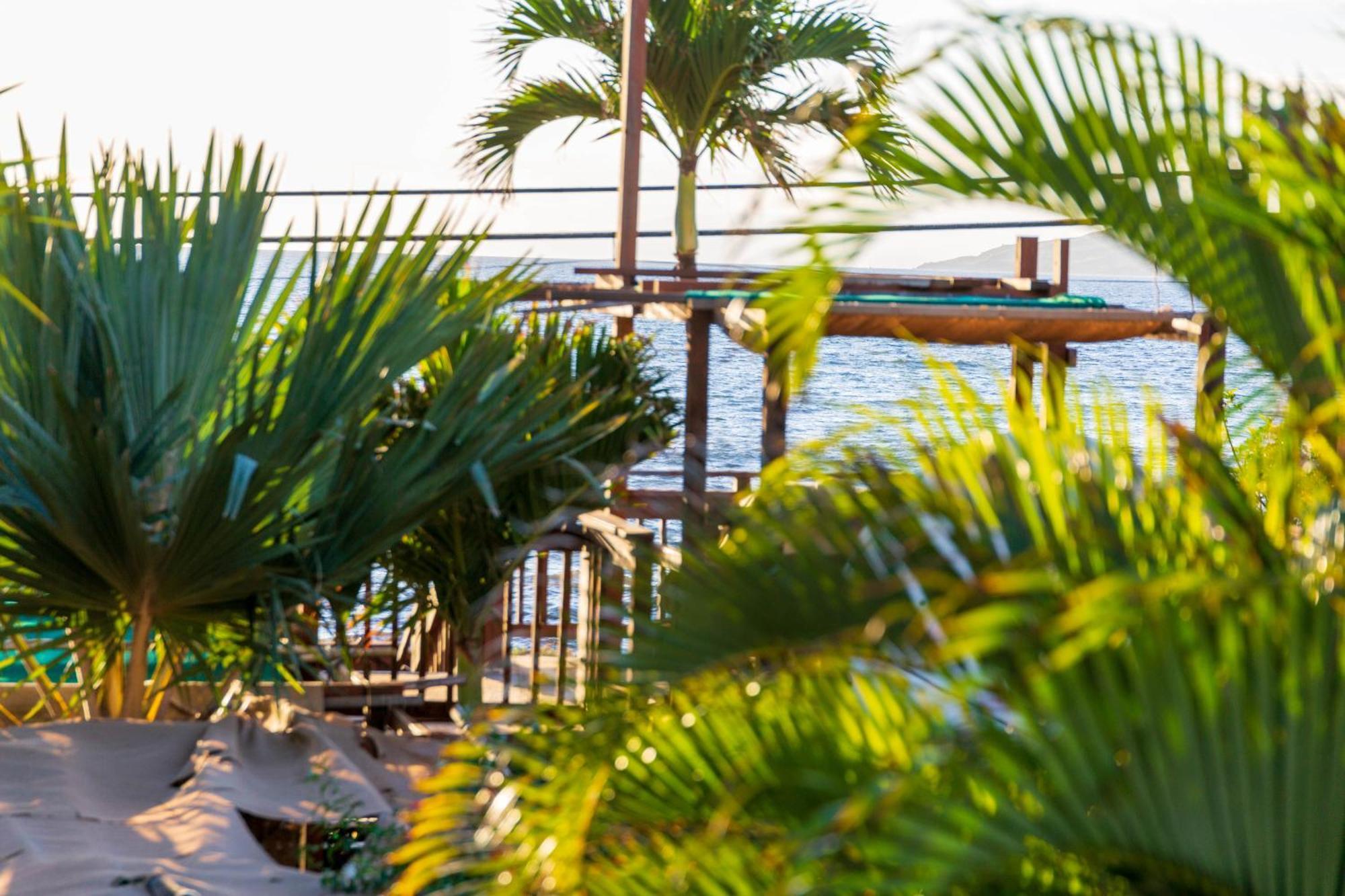 Bamboo Suite, 1 Bedroom, Sleeps 4, Pool & Bbq, Pre-Renovation Summer Sale Kīhei Exterior foto